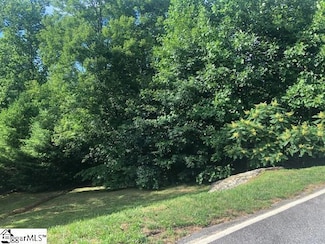 4 Rustic Ct, Landrum, SC 29356