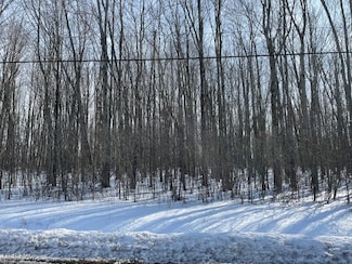 TBD Brockway Rd, Painesville, OH 44077