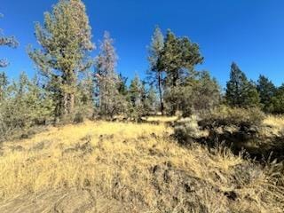 0 Seagull Dr Unit 3 220190973, Bonanza, OR 97623