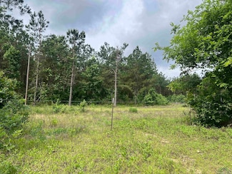 TBD Trinity Rd Unit Jefferson, Jefferson, TX 75657