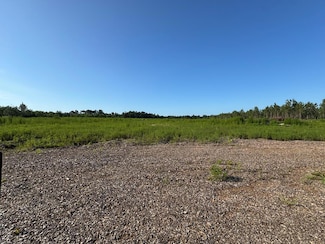 Tract 2 Hall Webb Rd, Hahira, GA