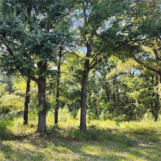 5507 Henry Rd, Eight Mile, AL 36613