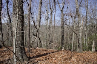 0 Tanager Trail Unit 7542584, Alto, GA 30510