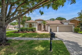 12806 Castlemaine Dr, Tampa, FL 33626