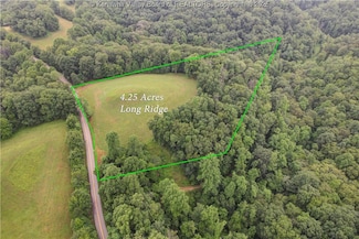 00 Long Ridge Rd, Frame, WV 25071