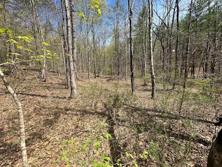 0 Stonehenge Pkwy Unit 25-110, Lewisburg, WV 24901