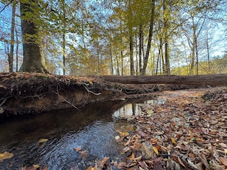 Germanys Ferry Rd, Daviston, AL 36256