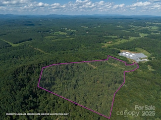823 Silver Creek Rd, Mill Spring, NC 28756