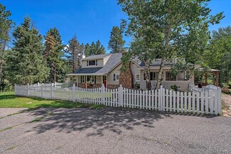 29152 Shadow Mountain Dr, Conifer, CO 80433