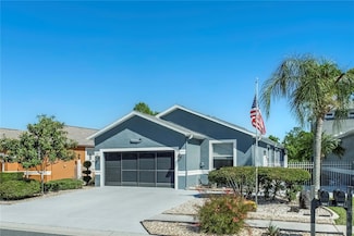 8116 Sanguinelli Rd, Land O Lakes, FL 34637