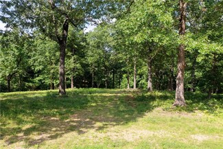 Lot 10 Oak Leaf Dr W, Harrison, AR 72601