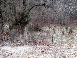 1.5 Ac Hwy 61, Marion, WI 53805