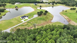 Lot 14 Gracie's Way, Lucedale, MS 39452