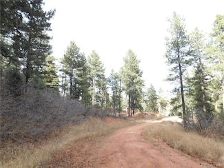 8055 Acoma Dr, Larkspur, CO 80118