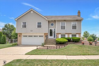 8413 Carriage Ln, Tinley Park, IL 60487