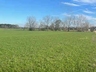 0 Morriston Rd, Petal, MS 39465
