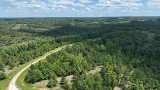 0 Freedom Ridge Unit RTC2697936, Indian Mound, TN 37079