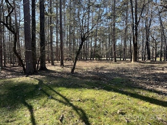 124 Coggins Mine None, New London, NC 28127