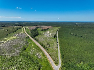 0 Hwy 112 Unit LotWP004 24020151, Toomsboro, GA 31090
