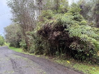 0 Waikiki St Unit 725655, Mountain View, HI 96771