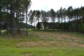 125 Wilderness Dr, Jasper, TN 37347