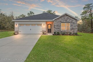13010 Pipit Ave, Weeki Wachee, FL 34614