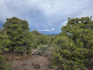TBD Monte Vista Dr, San Luis, CO 81152