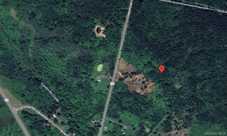 0 Logtown Rd, Root, NY 12166