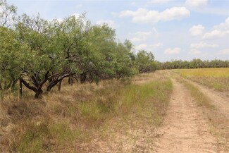 1666 Fm 703, Novice, TX 79538