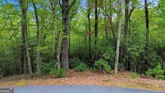 0 Grimes Nose Unit 40, Sautee Nacoochee, GA 30571