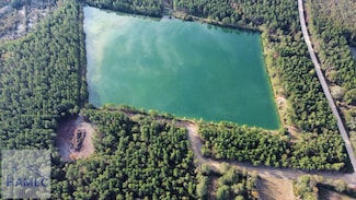 Lot 4 Brentwood Rd, Odum, GA 31555