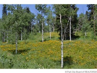 2489 and 2 S Hi Drive Cir, Wanship, UT 84017