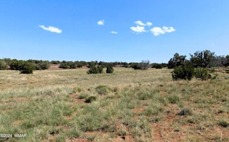 0 County Road 8439 Unit Antelope Ridge Lot 3, Concho Valley, AZ 85924