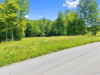 7101 Kittiwake Run, Manlius, NY 13104