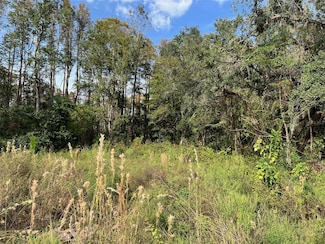 12707 Oconee Blvd, Moon Lake Estates, FL 34654