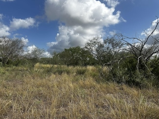 1100 County Road 119, Alice, TX 78332