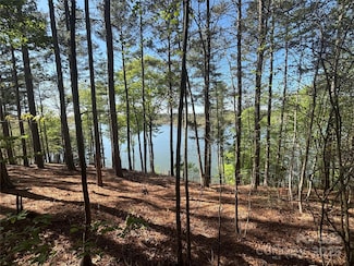 1036 Tranquil Cove Ct Unit 26, Connelly Springs, NC 28612
