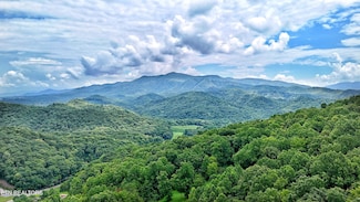 45 Acres S Highway 340, Parrottsville, TN 37843