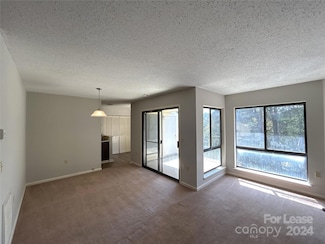 4804 Spring Lake Dr Unit E, Charlotte, NC 28212