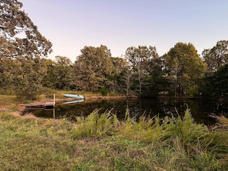 Tract 2 Webster County Line Rd, Conway, MO 65632