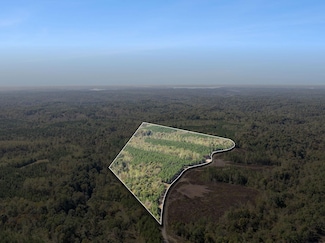 0 Cox Hollow Rd, Dover, TN 37058
