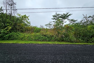 0 4th Ave Unit 725543, Hawaiian Paradise Park, HI 96749