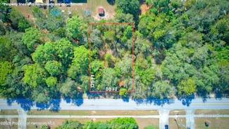 12630 Linden Dr, Spring Hill, FL 34609