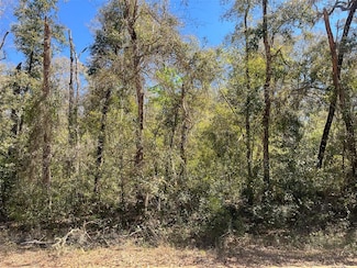 0 Walker Ave, Interlachen, FL 32148
