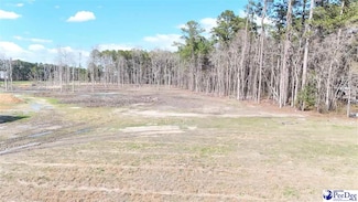 2492 Bridle Path Ln, Timmonsville, SC 29161