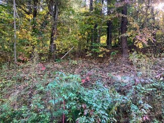 0 State Route 325 Unit 2430049, Vinton, OH 45686