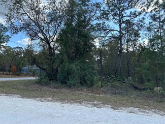 12312 Quigley Ave, Brooksville, FL 34614