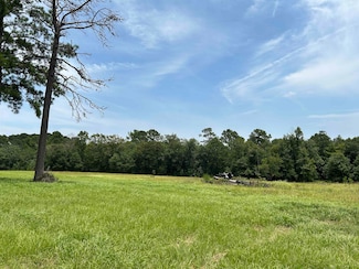 lot 378 E Madison Lake Rd, Woodville, TX 75979