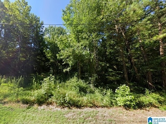 0 Loop Rd Unit 21428807, Ashville, AL 35953