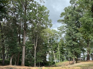 00 Pier 7 Rd, Andalusia, AL 36421